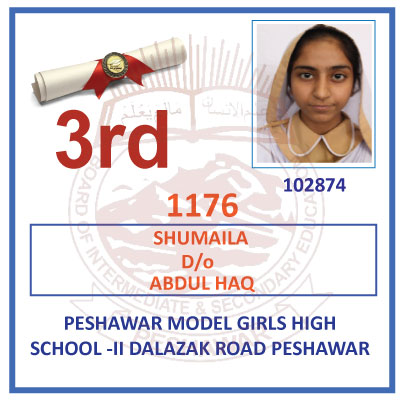 3rd Position Holder